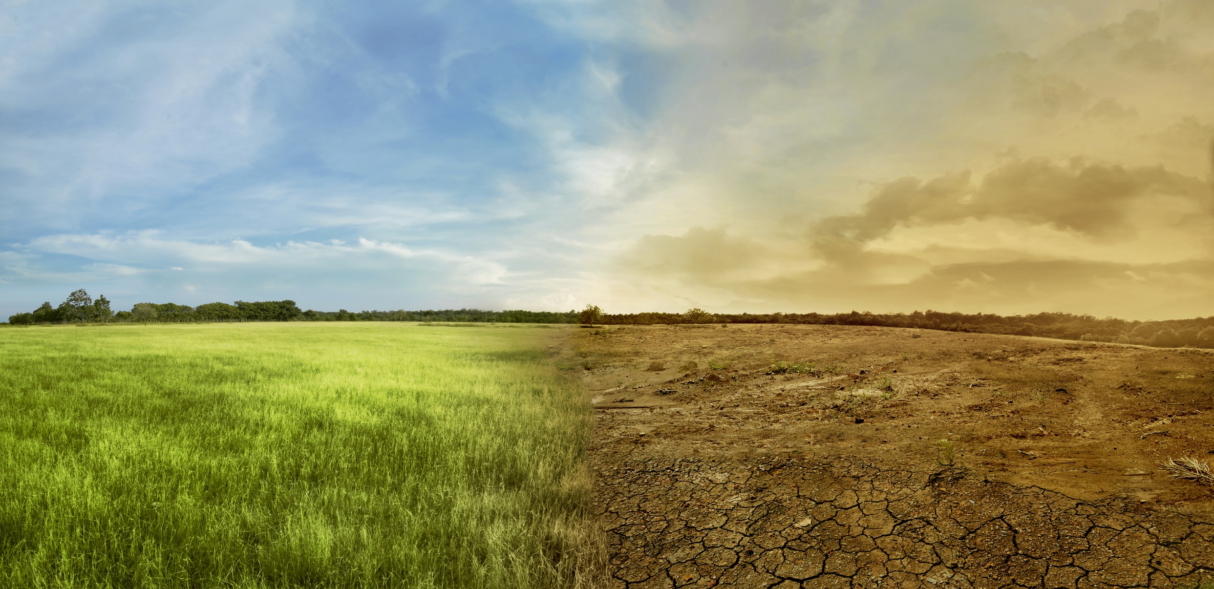 Landscape of meadow field with the changing environment stock photo